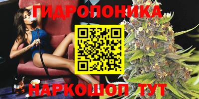 тгк Чебоксары