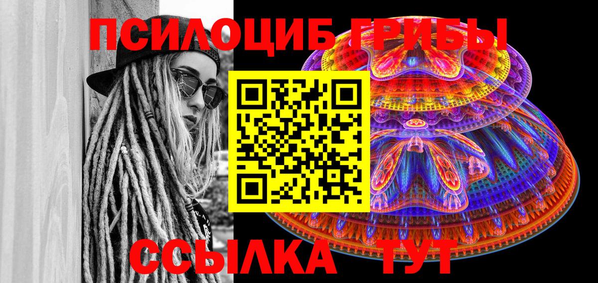 Псилоцибиновые грибы Psilocybine cubensis Отрадный
