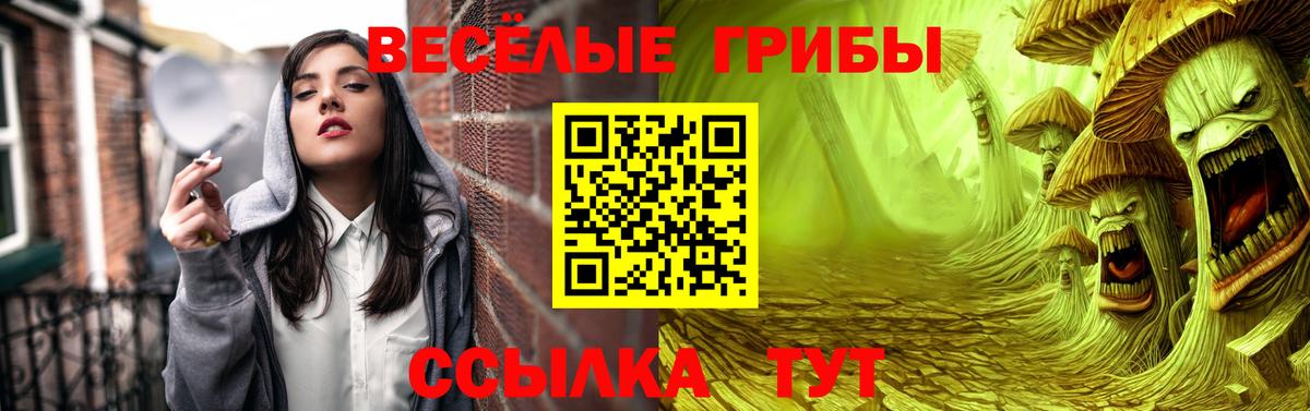 Галлюциногенные грибы Magic Shrooms  Галлюциногенные грибы ЛСД  Вход с VPN  Отрадный 