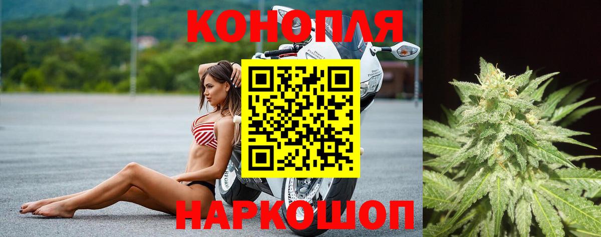 Конопля AK-47  Бошки Шишки гибрид  Вход с VPN  Конопля конопля  Шишки марихуана конопля  Отрадный 